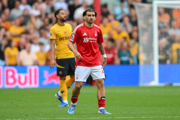 注目的例子 注目的例子